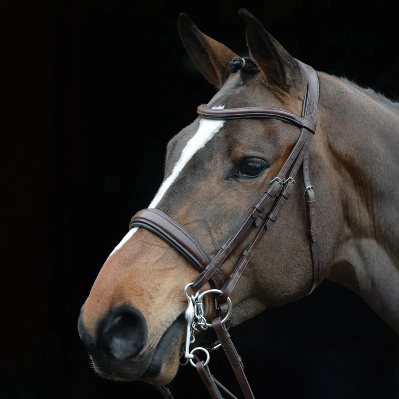 Collegiate Mono Crown Padded Raised Weymouth Double Bridle - Brown