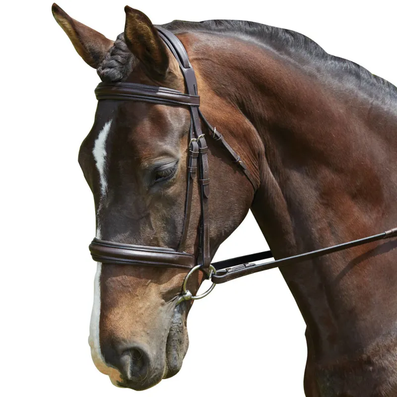 Collegiate Cavesson Padded Headpiece Bridle - Brown