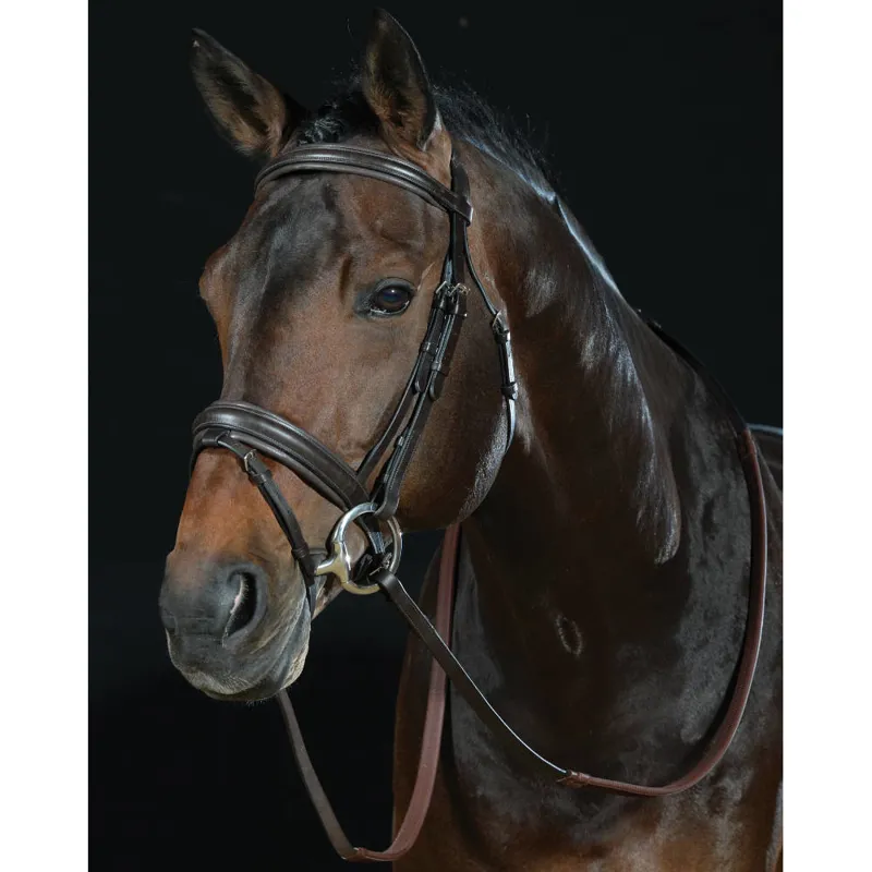 padded bridle headpiece