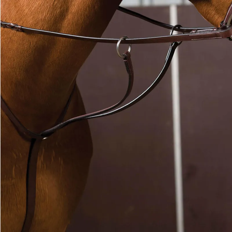 Collegiate Running Martingale Brown