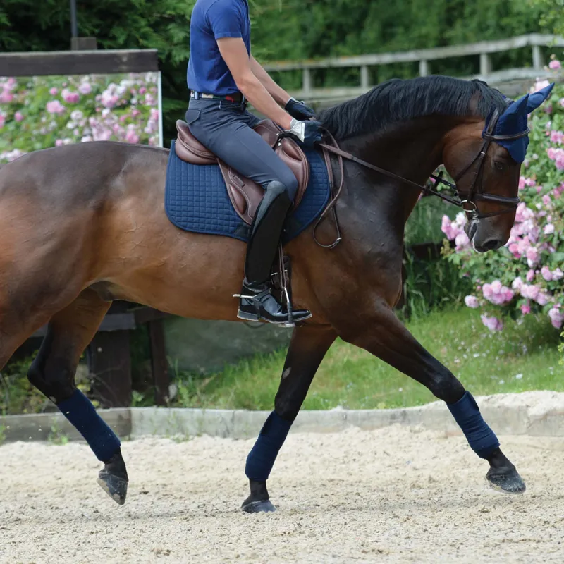 Collegiate Degree Mono Event Saddle - Brown-3