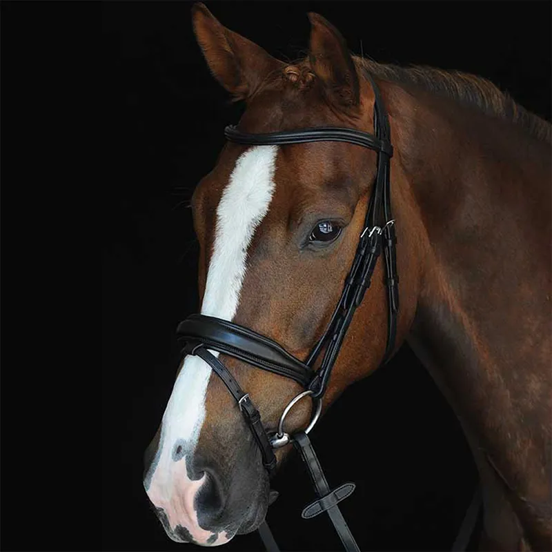 Collegiate Mono Crown Padded Raised Flash Bridle with Reins - Black