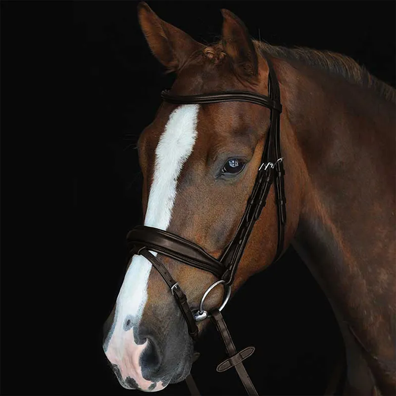 Collegiate Mono Crown Padded Raised Flash Bridle with Reins - Brown
