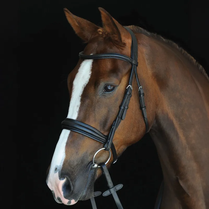 Collegiate Mono Crown Padded Raised Cavesson Bridle with Reins - Black