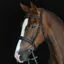 Collegiate Mono Crown Padded Raised Cavesson Bridle with Reins - Black