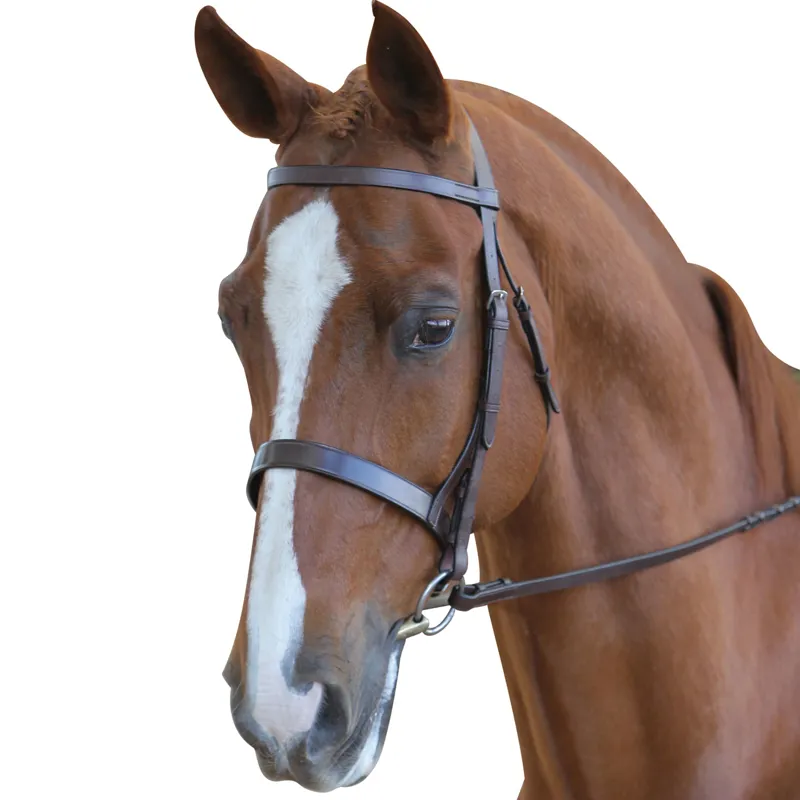 Collegiate Hunt Cavesson Bridle with Reins - Brown