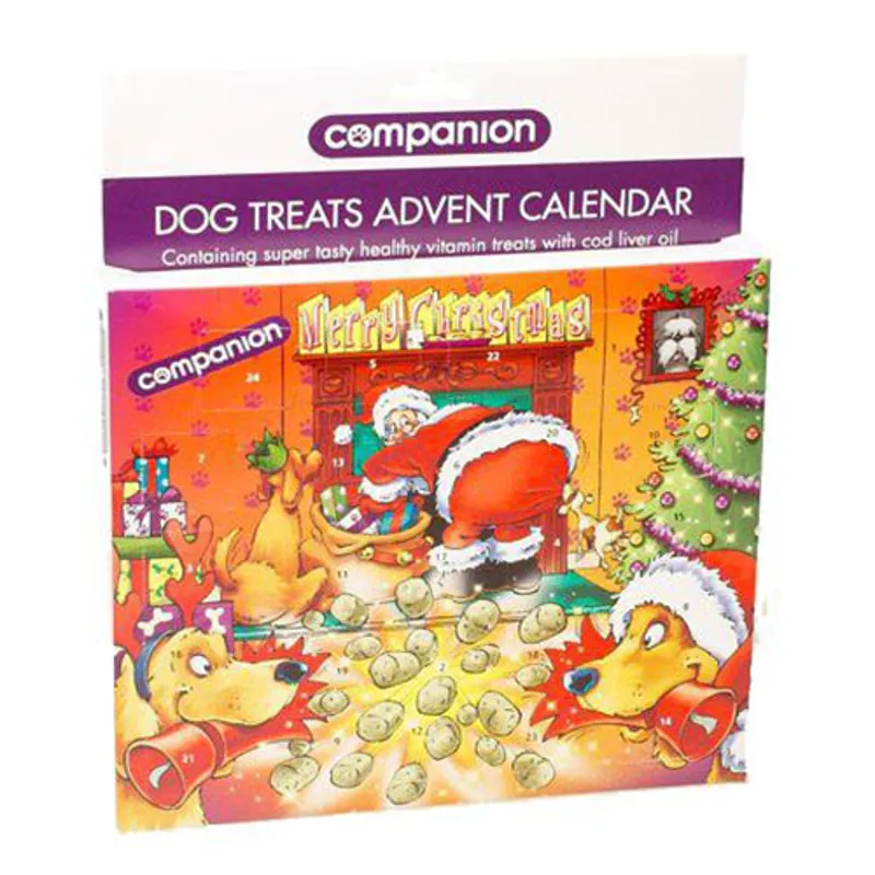 Companion Dog Advent Calender