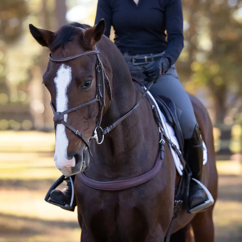 Correct Connect Free Motion Breastplate - Brown-1