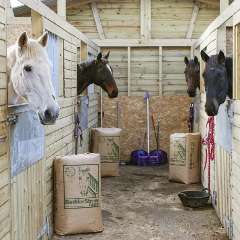 Cousin Jack BedderStraw Classic Chopped Wheat Straw-1