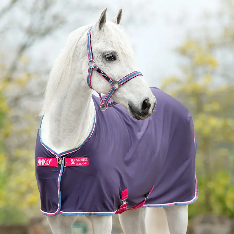 Amigo Jersey Cooler Pony Rug Grape/Pink/White