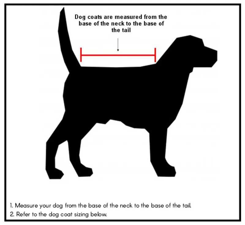 Dog Coat Sizing