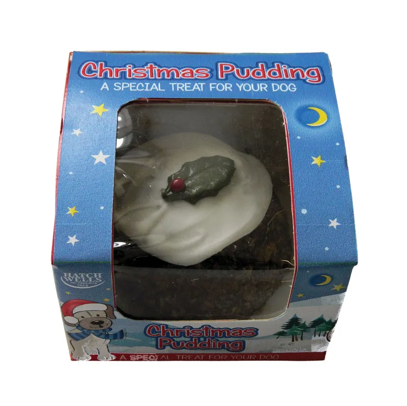Hatchwells Christmas Pudding Dog Treat