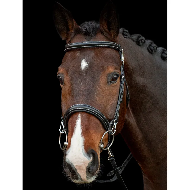 Schockemohle Dortmund Flash Training Bridle - Black/Cream/Silver-1