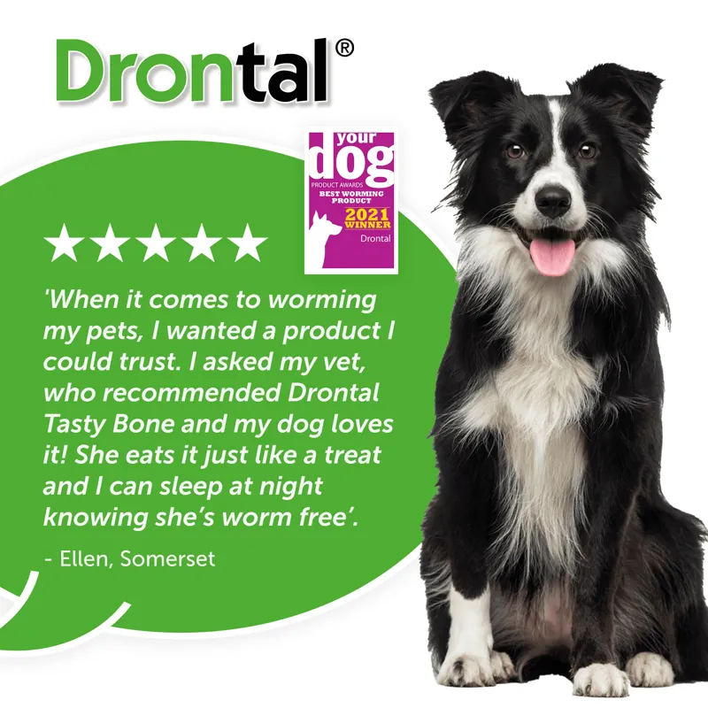 Drontal Dog Tasty Bone Worming Tablets-4
