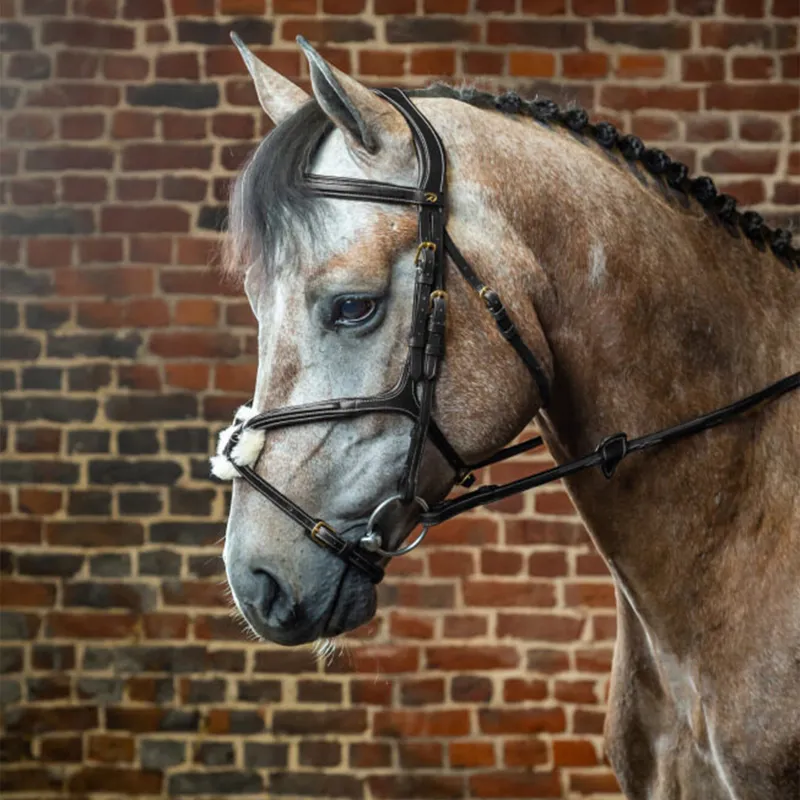 Dy'on D Collection Figure 8 Bridle - Black-1