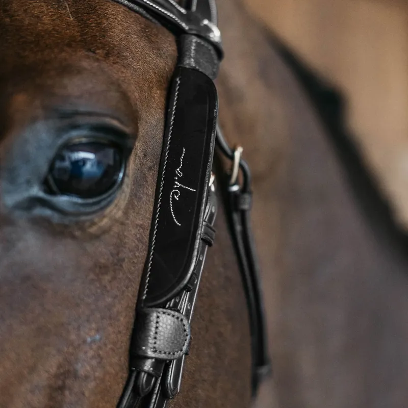 Dy'on Fancy Leather Bridle Blinkers - Black