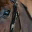 Dy'on Fancy Leather Bridle Blinkers - Black