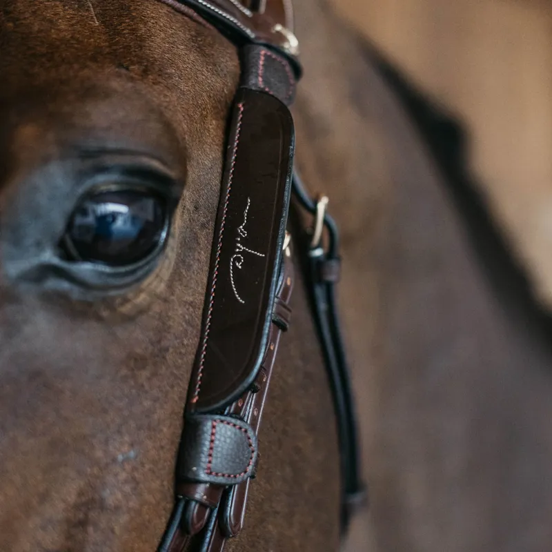 Dy'on Fancy Leather Bridle Blinkers - Brown
