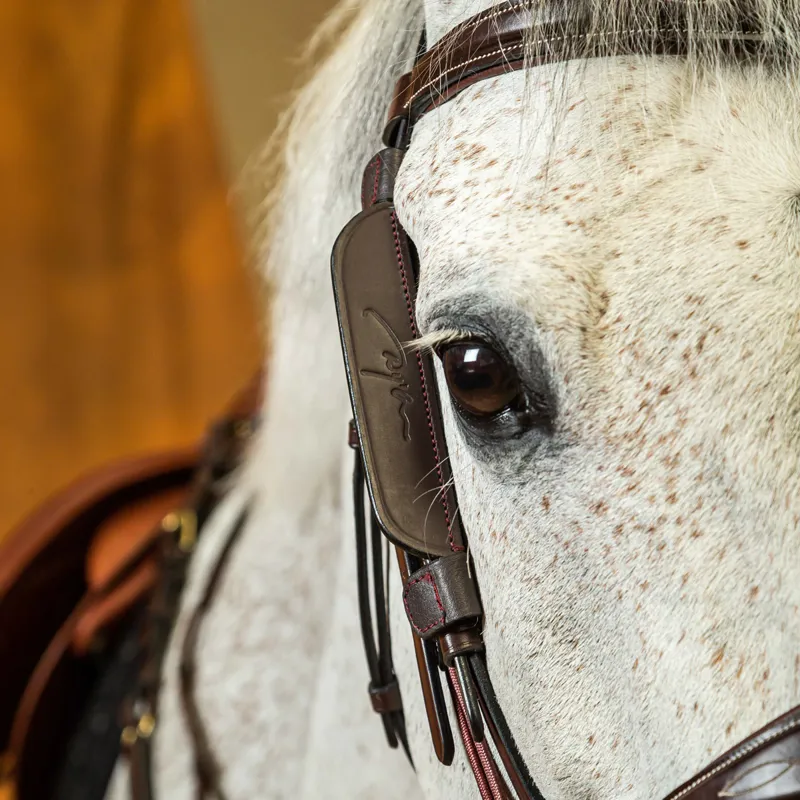 Dy'on Leather Bridle Blinkers - Brown-1