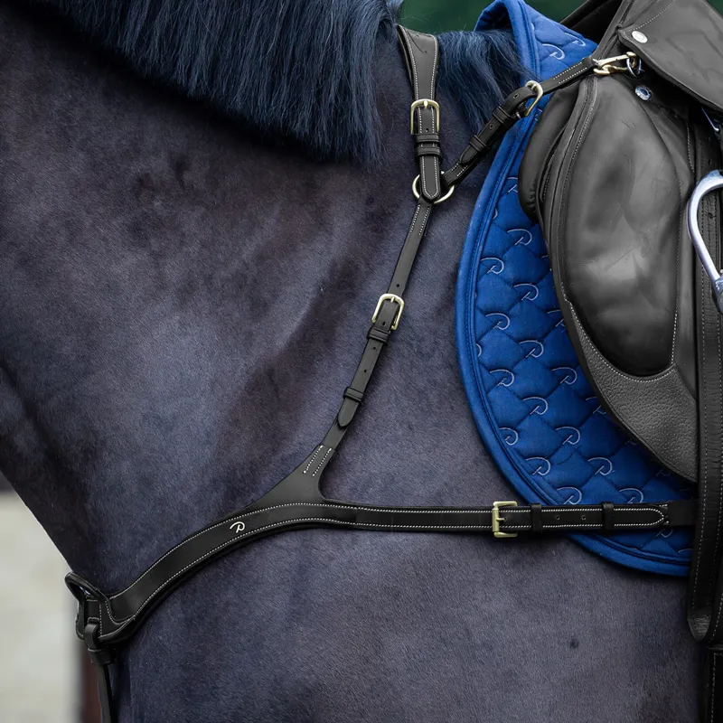 Dy'on D Collection Anatomical Breastplate - Black