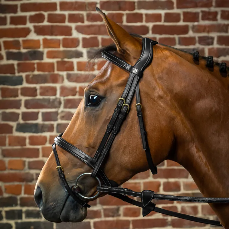 Dy'on D Collection Flash Bridle - Black-2