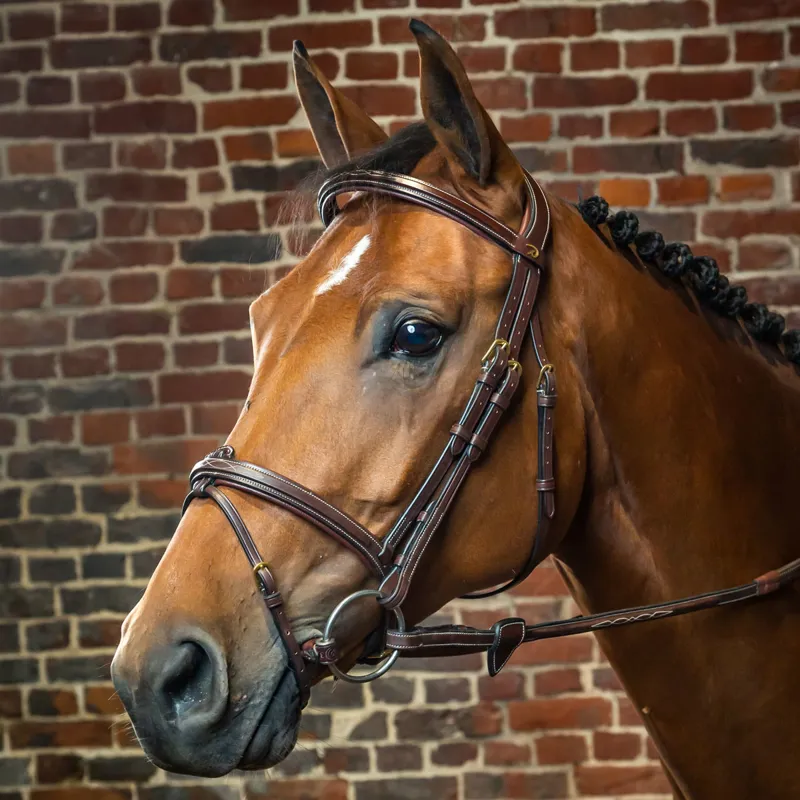 Dy'on D Collection Flash Bridle - Brown