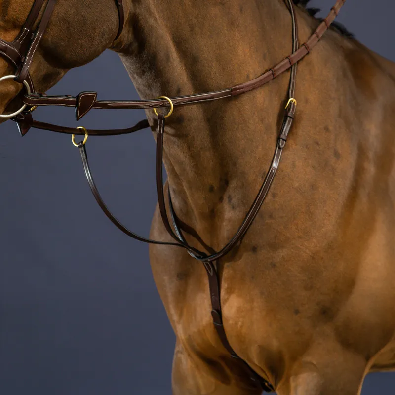 Dy'on D Collection Running Martingale - Brown-1