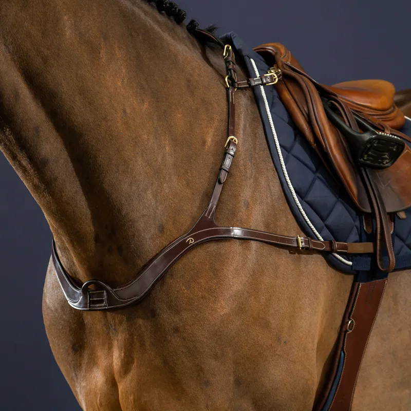 Dy'on D Collection Anatomical Breastplate - Brown-5