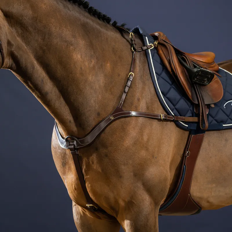 Dy'on D Collection Anatomical Breastplate - Brown-4