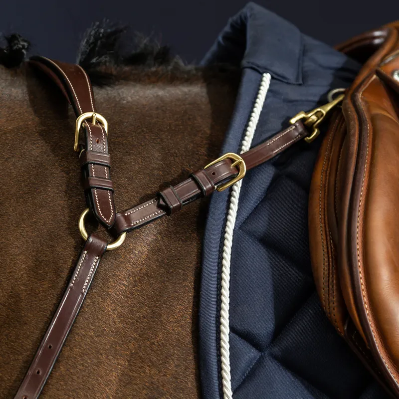 Dy'on D Collection Anatomical Breastplate - Brown-2