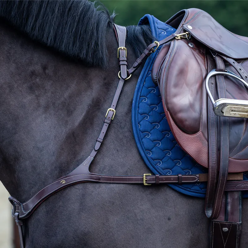 Dy'on D Collection Anatomical Breastplate - Brown