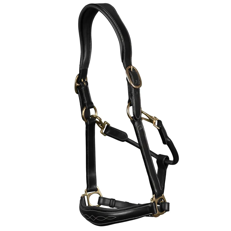 Dy'on Anatomical Leather Headcollar - Black