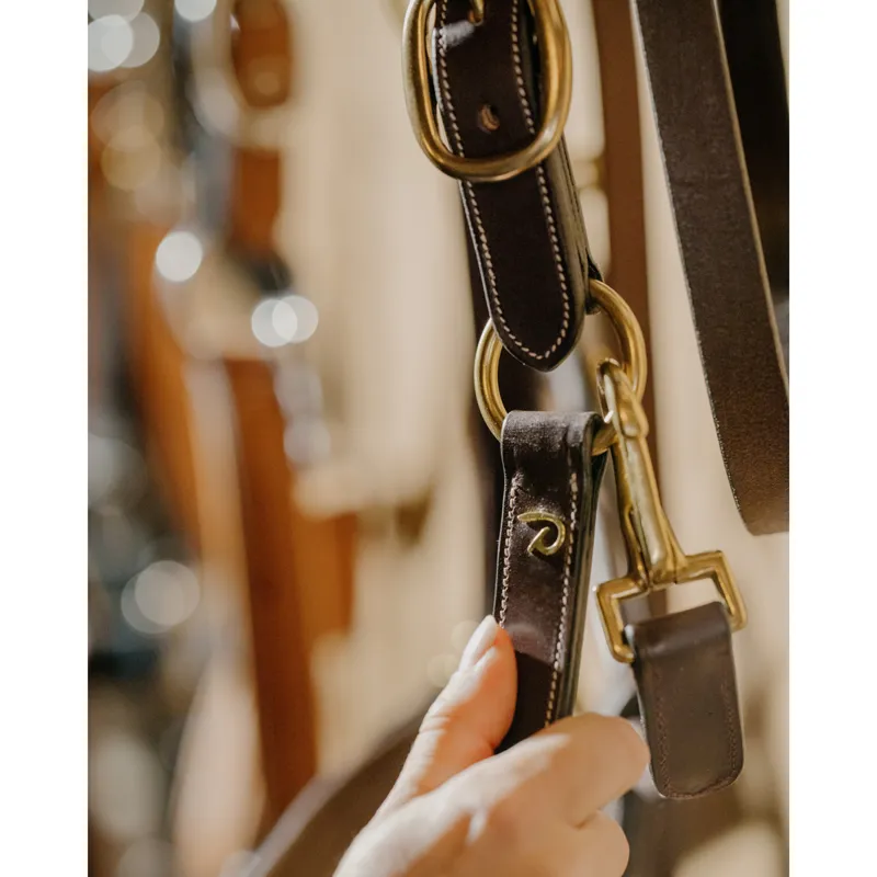 Dy'on Anatomical Leather Headcollar - Brown-3