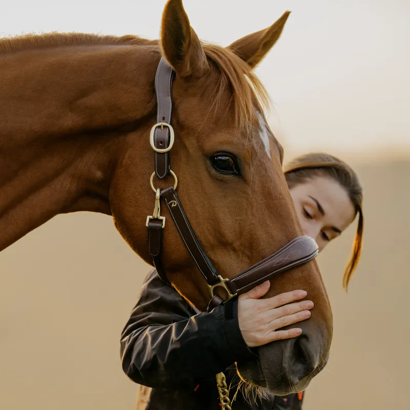 Dy'on Anatomical Leather Headcollar - Brown-2