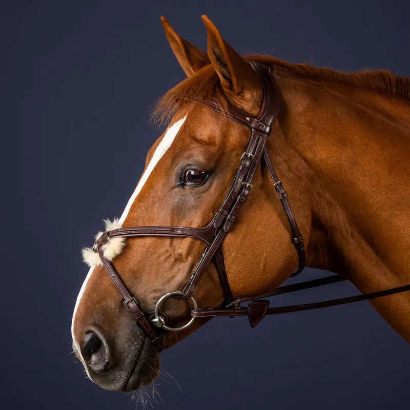 Dy'on New English Figure 8 Bridle - Brown-1