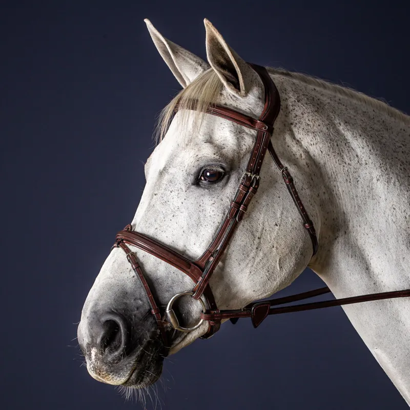 Dy'on New English Flash Bridle - Brown-1