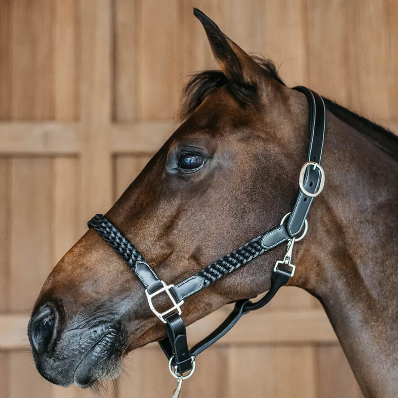 Dy'on Working Plaited Leather Headcollar - Black