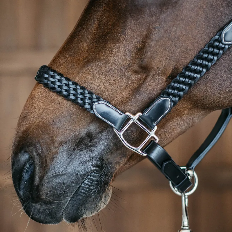 Dy'on Working Plaited Leather Headcollar - Black-2