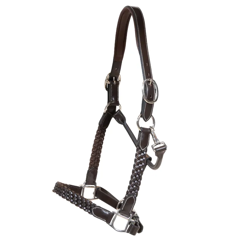 Dy'on Working Plaited Leather Headcollar - Brown-1
