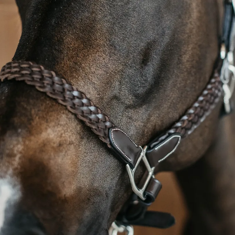 Dy'on Working Plaited Leather Headcollar - Brown-2