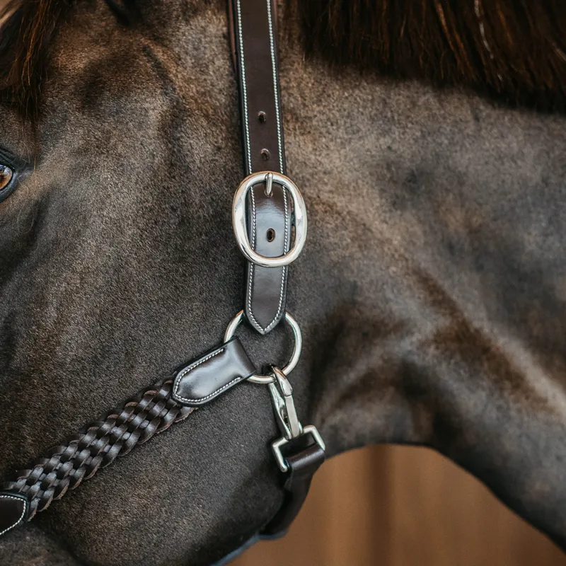 Dy'on Working Plaited Leather Headcollar - Brown-3