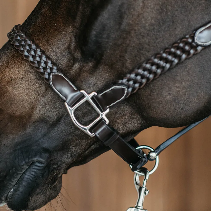Dy'on Working Plaited Leather Headcollar - Brown-4