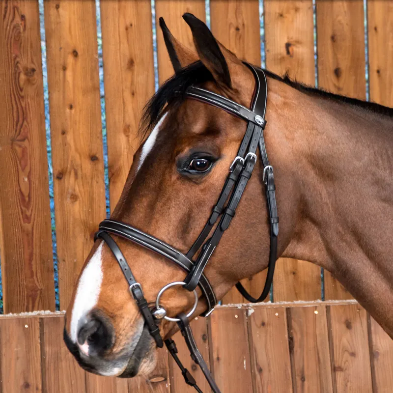 Dy'on Working Flash Bridle - Brown-1