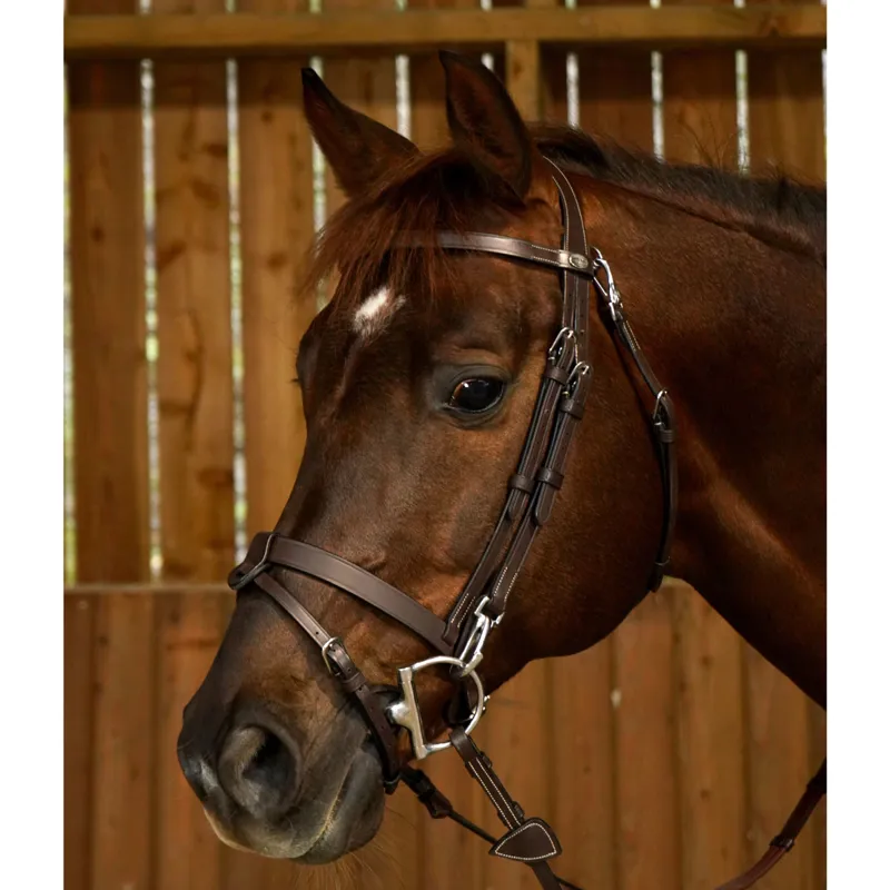 Dy'on Working Flat Leather Removable Flash Bridle - Brown-1