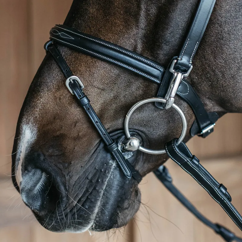 Dy'on Working Training Bridle - Black-1