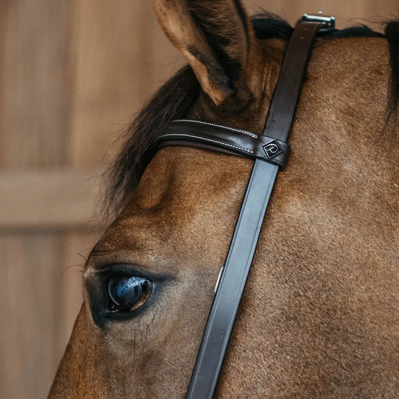 Dy'on Working Training Bridle - Brown-1