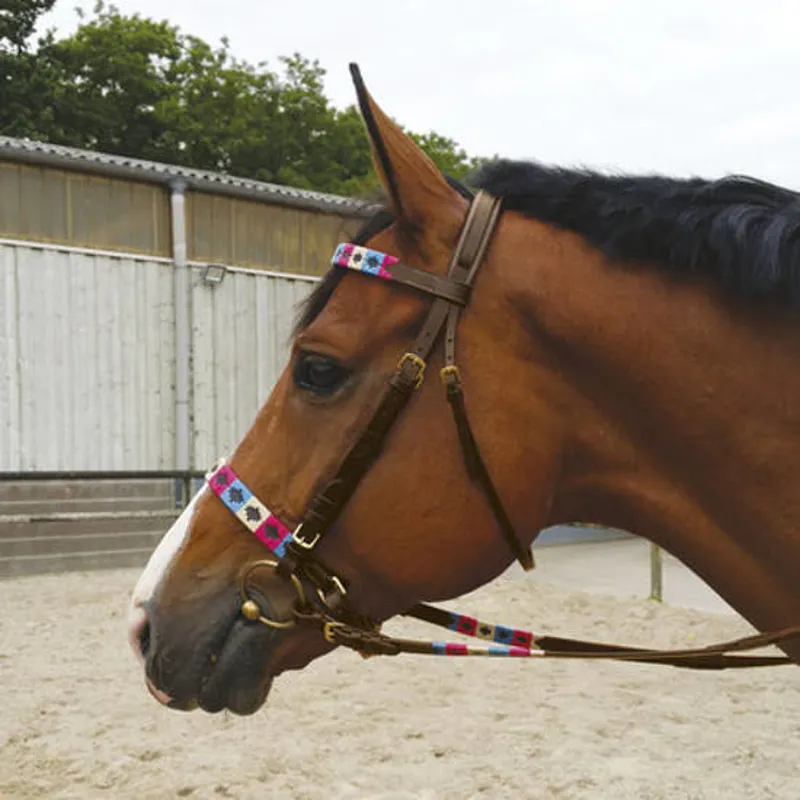 Riding World Polo Bridle - Havana/Blue/Pink