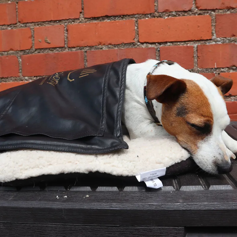 Epiony Equine Heat Pad-7