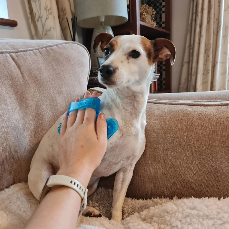 Epiony Massage Mitt - Blue-1