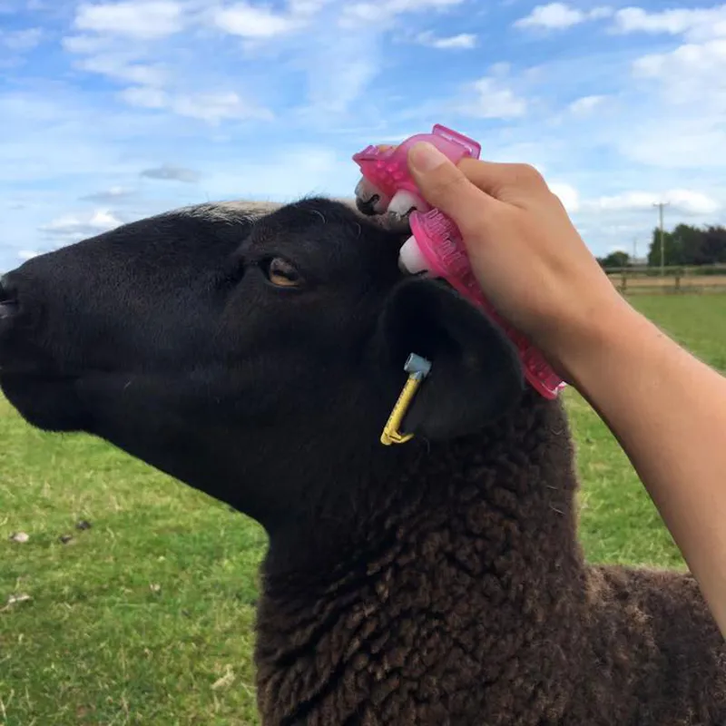 Epiony Massage Mitt - Pink-2